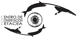 Centro De Conservacion Cetacea