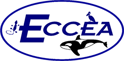 ECCEA