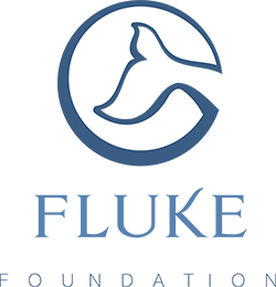 Fluke Foundation