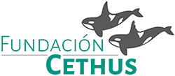 Fundacion Cethus