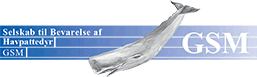 GSM