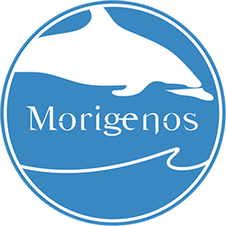 Morigenos