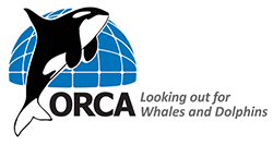 ORCA