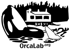 Orca Lab